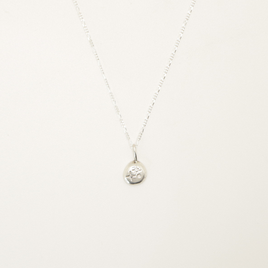 sample — andromeda
